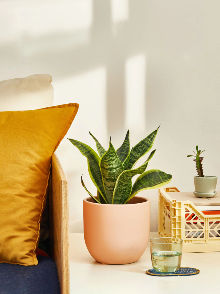12 Aesthetic Office Essentials for Women That Won’t Break The Budget 14 contemporary office accessories